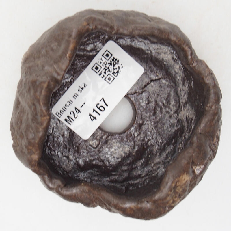 Kerámia kagyló 8 x 7,5 x 4,5 cm , barna színű