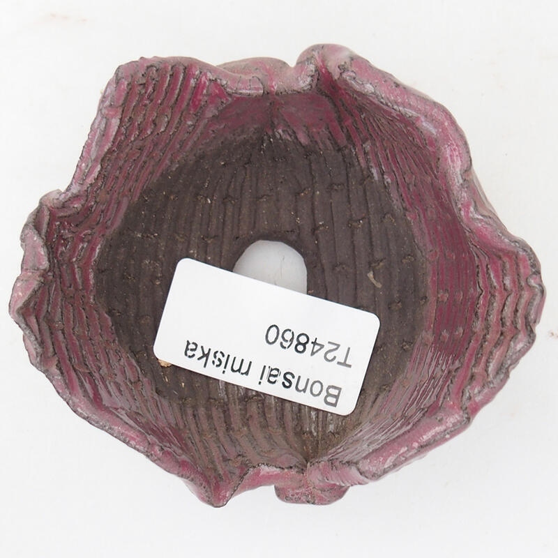 Kerámia kagyló 8 x 7,5 x 4,5 cm , rózsaszín színben