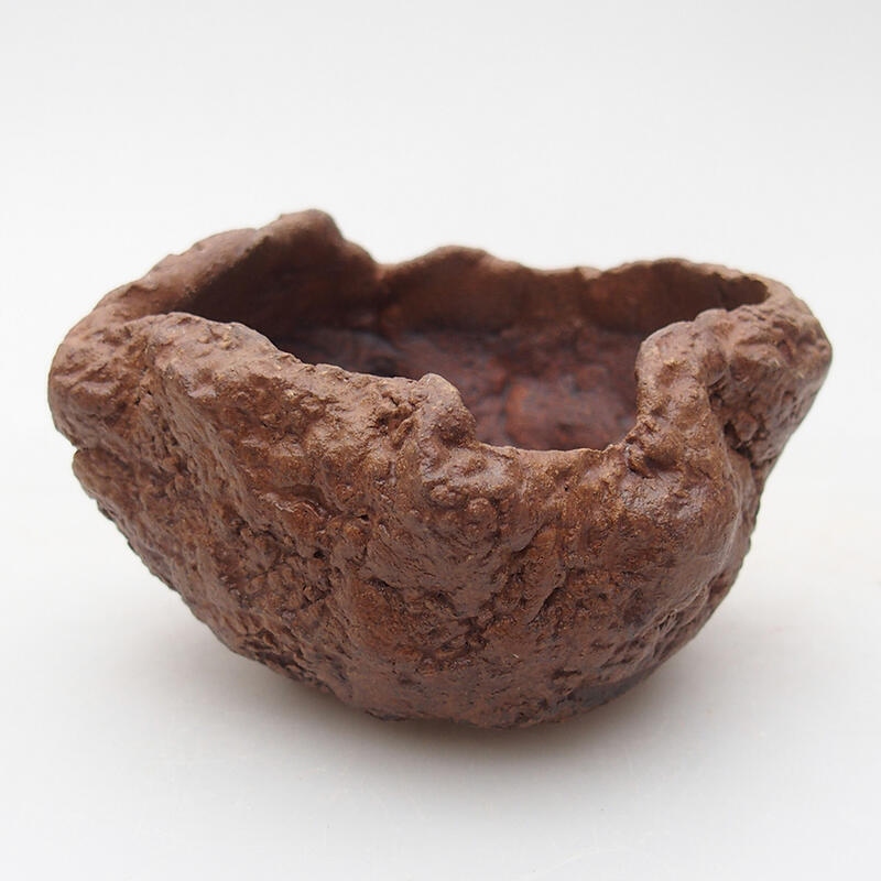 Kerámia kagyló 8 x 7,5 x 5,5 cm , barna színű