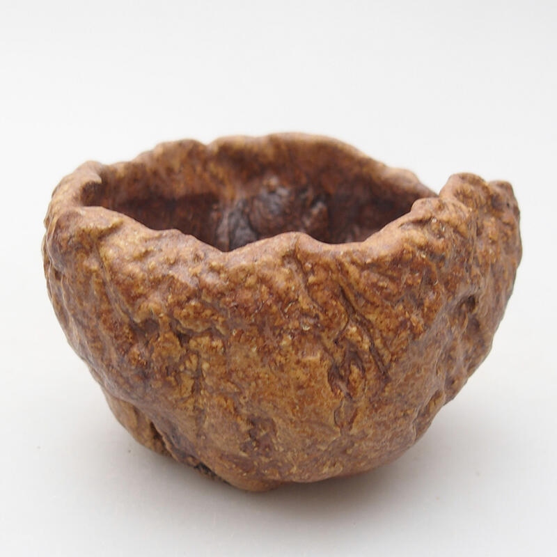 Kerámia kagyló 8 x 7,5 x 5,5 cm , barna színű