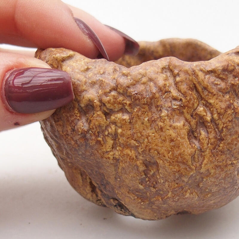 Kerámia kagyló 8 x 7,5 x 5,5 cm , barna színű