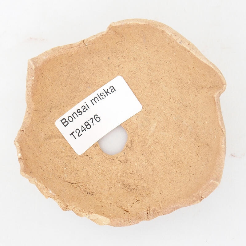 Kerámia kagyló 8 x 8,5 x 4,5 cm , bézs színű