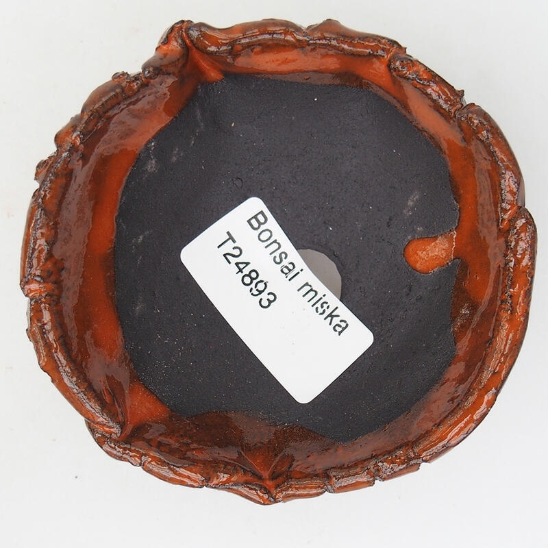 Kerámia kagyló 8 x 8 x 3,5 cm , narancssárga színű