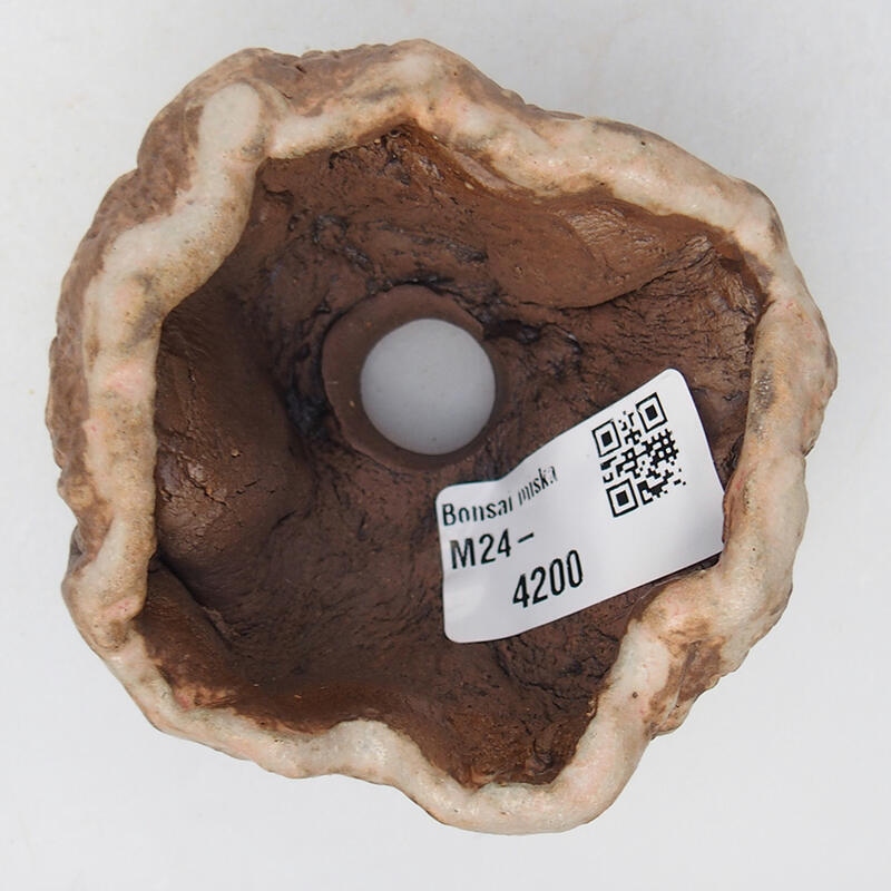 Kerámia kagyló 8 x 8 x 5 cm , bézs színű