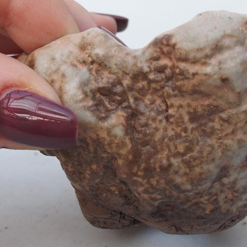 Kerámia kagyló 8 x 8 x 5 cm , bézs színű