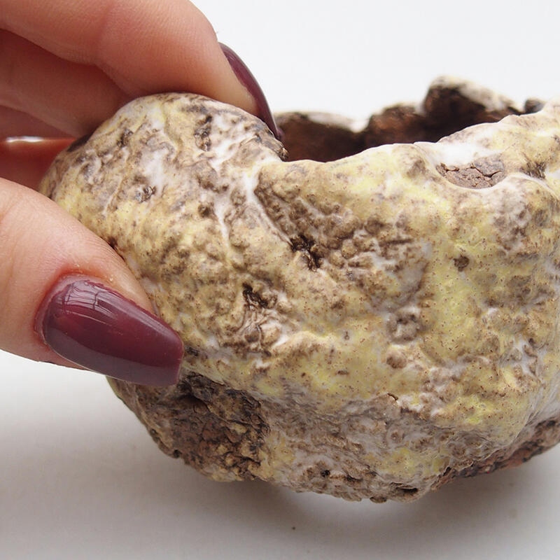 Kerámia kagyló 8 x 8 x 6 cm , sárga