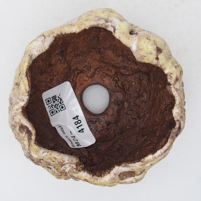 Kerámia kagyló 8 x 8 x 6 cm , sárga