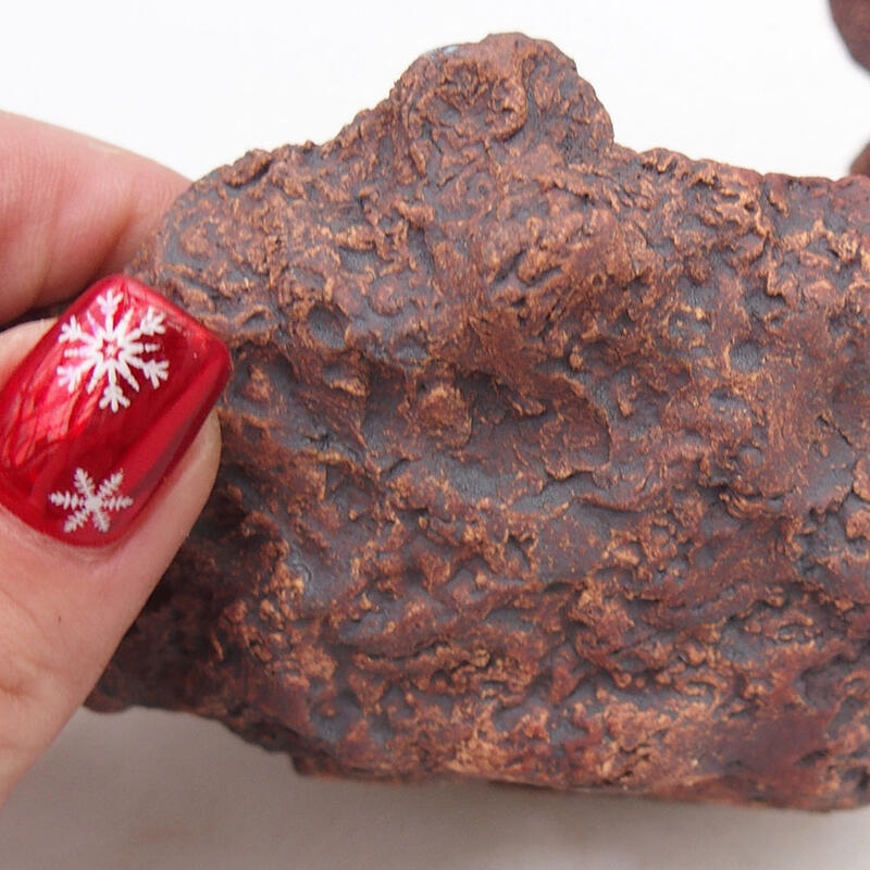 Kerámia kagyló 9,5 x 11 x 11 cm , színe barnásvörös