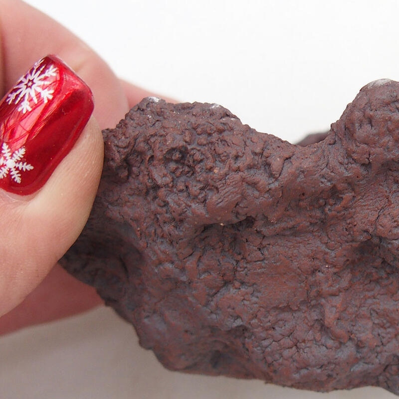 Kerámia kagyló 9 x 11 x 9 cm , színe barnásvörös