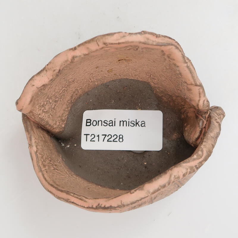 Kerámia kagyló 9 x 7 x 6 cm, rózsaszínű