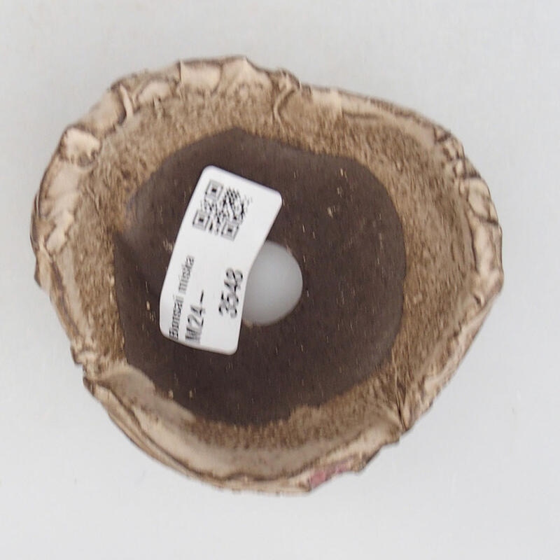 Kerámia kagyló 9 x 8,5 x 5,5 cm , bézs színű