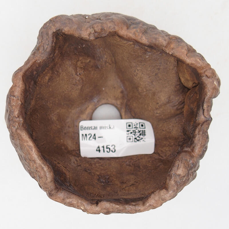 Kerámia kagyló 9 x 8,5 x 6 cm , barna színű