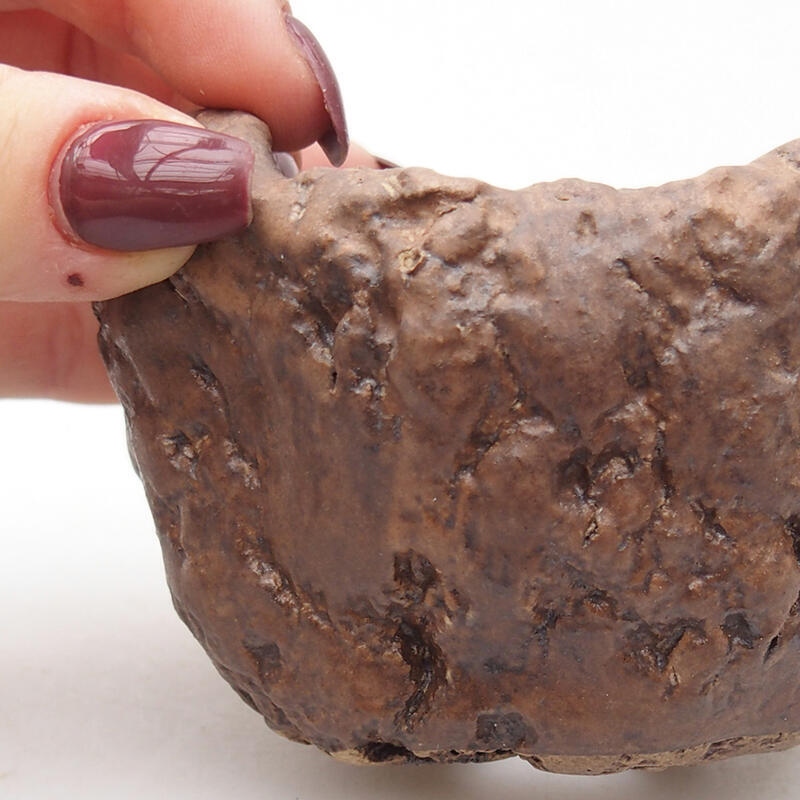 Kerámia kagyló 9 x 8,5 x 6 cm , barna színű