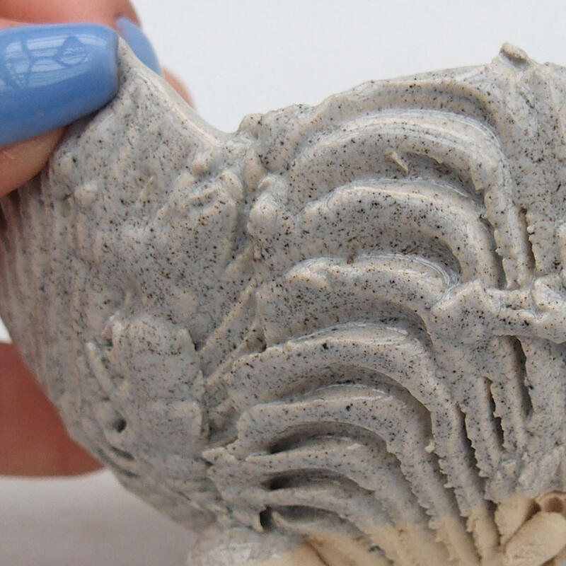 Kerámia kagyló 9 x 8,5 x 6 cm , szürke színű