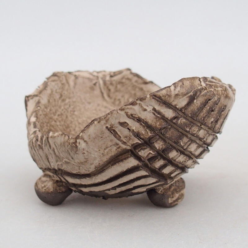 Kerámia kagyló 9 x 8 x 5,5 cm , bézs színű