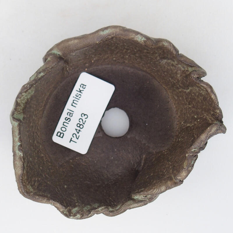 Kerámia kagyló 9 x 8 x 5,5 cm , barna színű