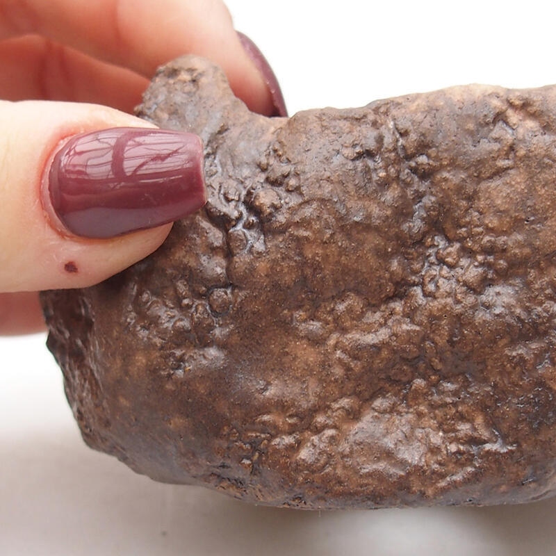 Kerámia kagyló 9 x 8 x 5 cm , barna színű