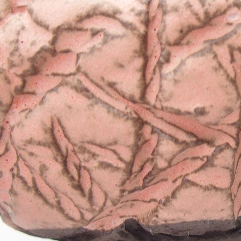 Kerámia kagyló 9 x 8 x 5 cm , rózsaszín színű