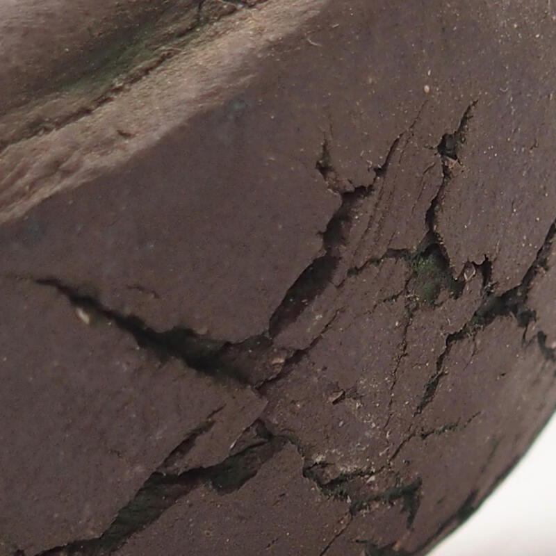 Kerámia kagyló 9 x 9 x 4,5 cm , zöld színű