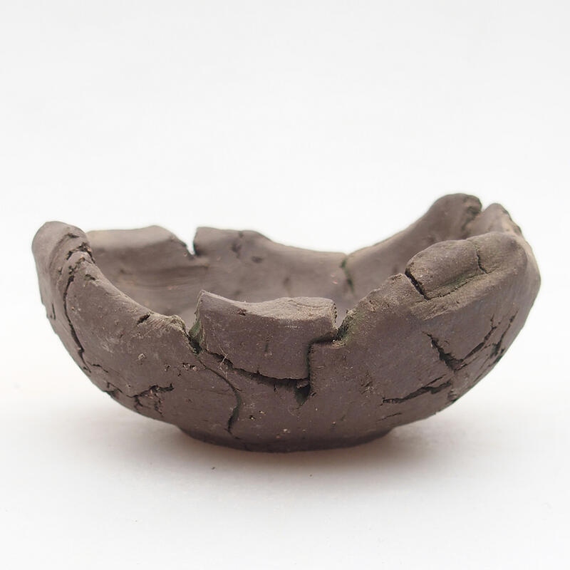 Kerámia kagyló 9 x 9 x 4,5 cm , zöld színű