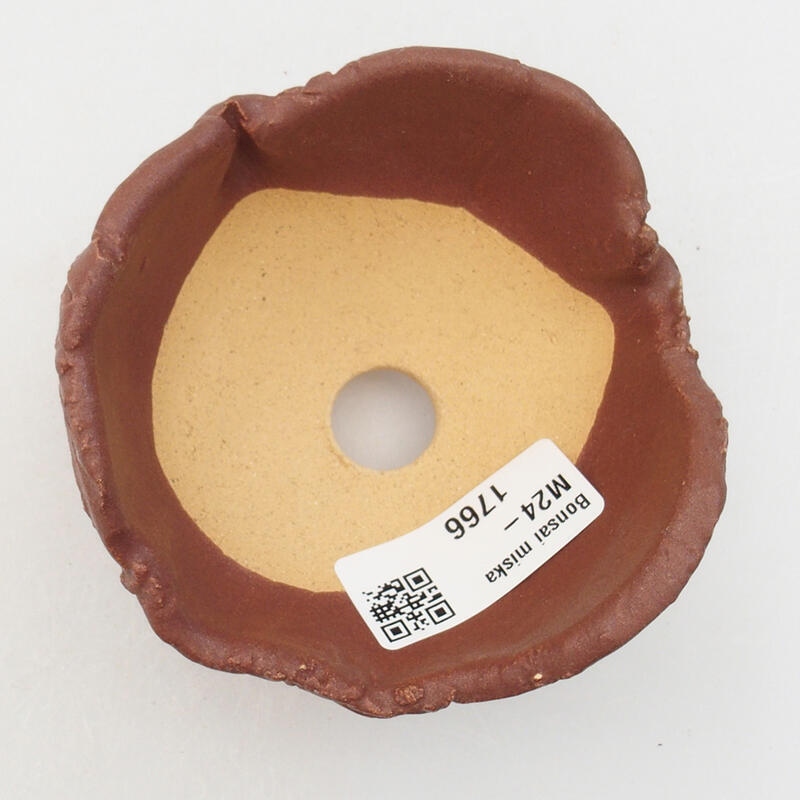 Kerámia kagyló 9 x 9 x 5,5 cm , barna színű