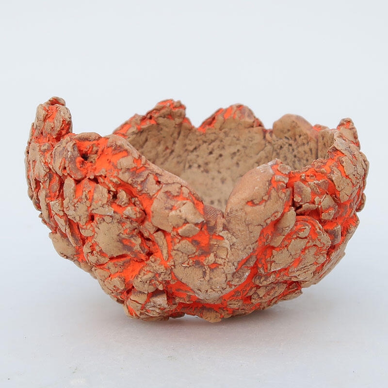 Kerámia héj  9 x 9 x 5,5 cm, természetes színű