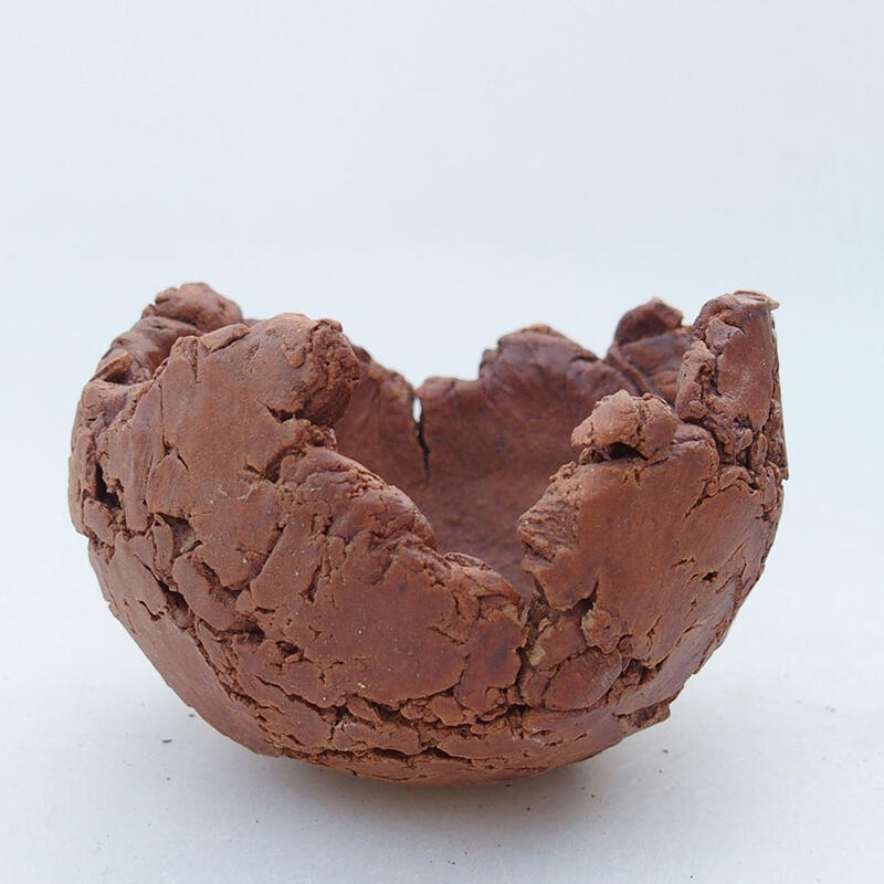 Kerámia kagyló 9 x 9 x 6,5 cm , színe barna