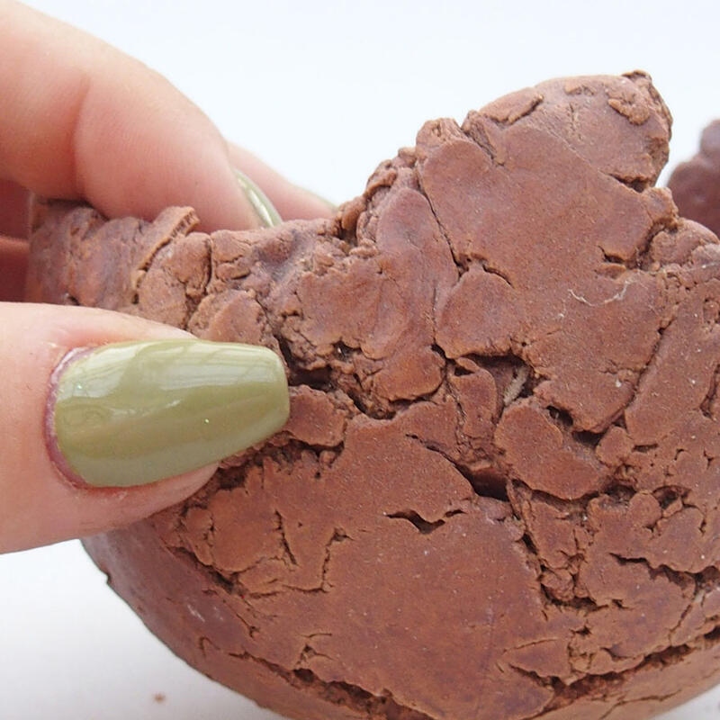 Kerámia kagyló 9 x 9 x 6,5 cm , színe barna