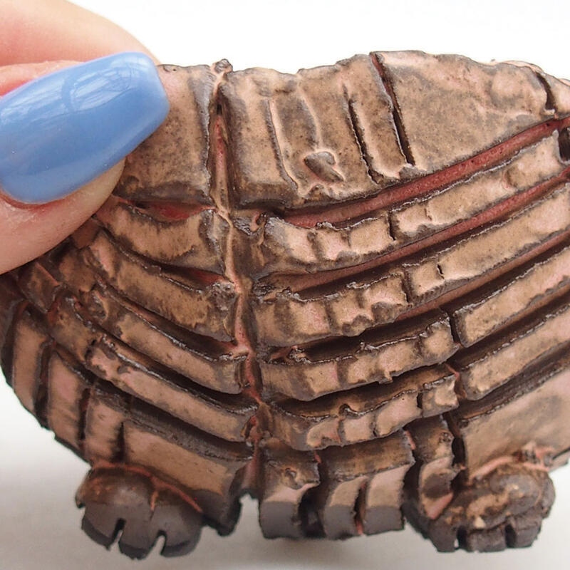 Kerámia kagyló 9 x 9 x 6 cm , rózsaszín színű