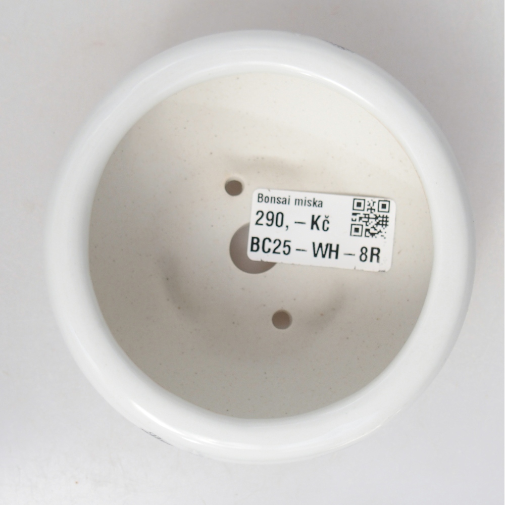 kerámia bonsai tál 10 x 10 x 5 cm, fehér színben