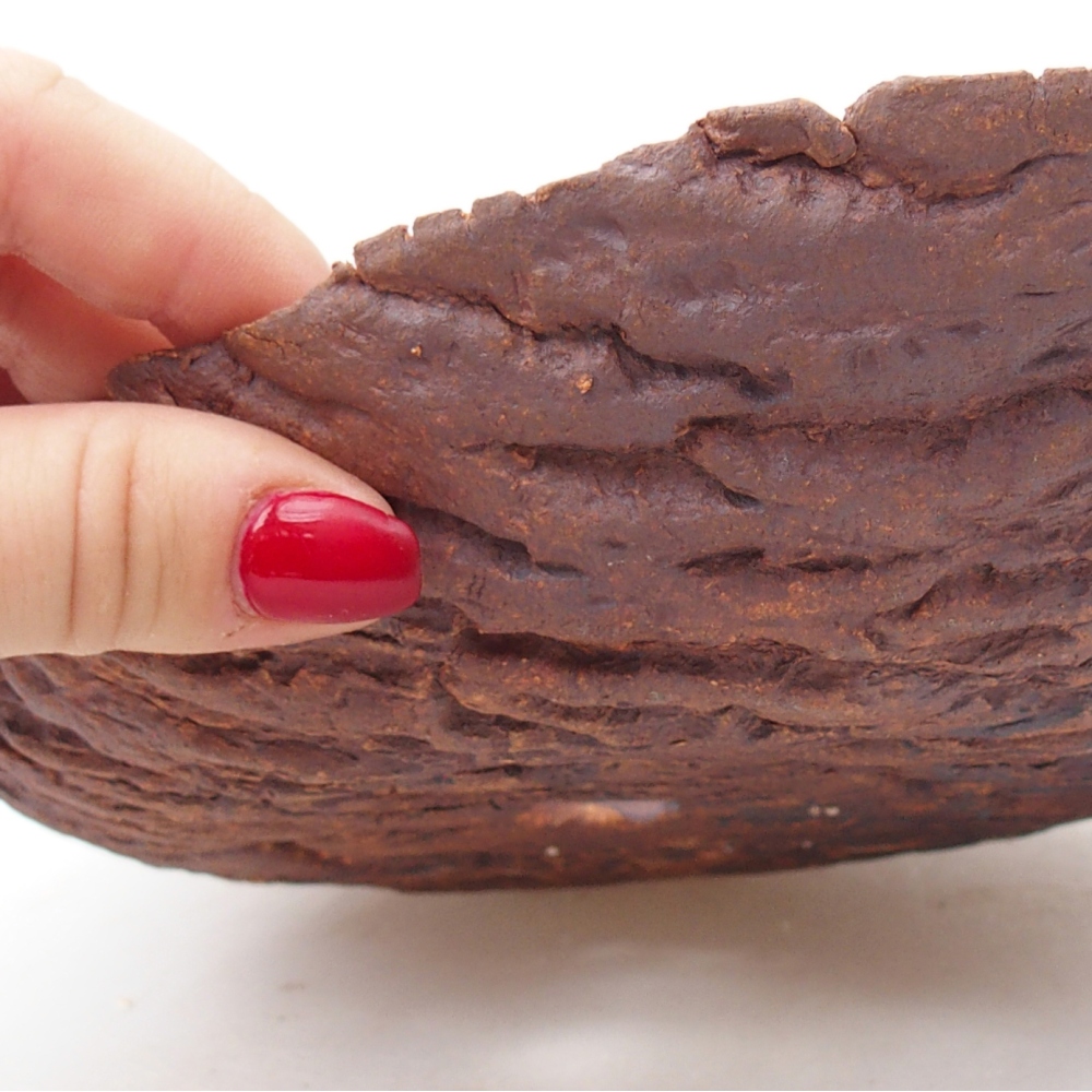 Kerámia kagyló 22 x 18,5 x 6,5 cm , színe barna