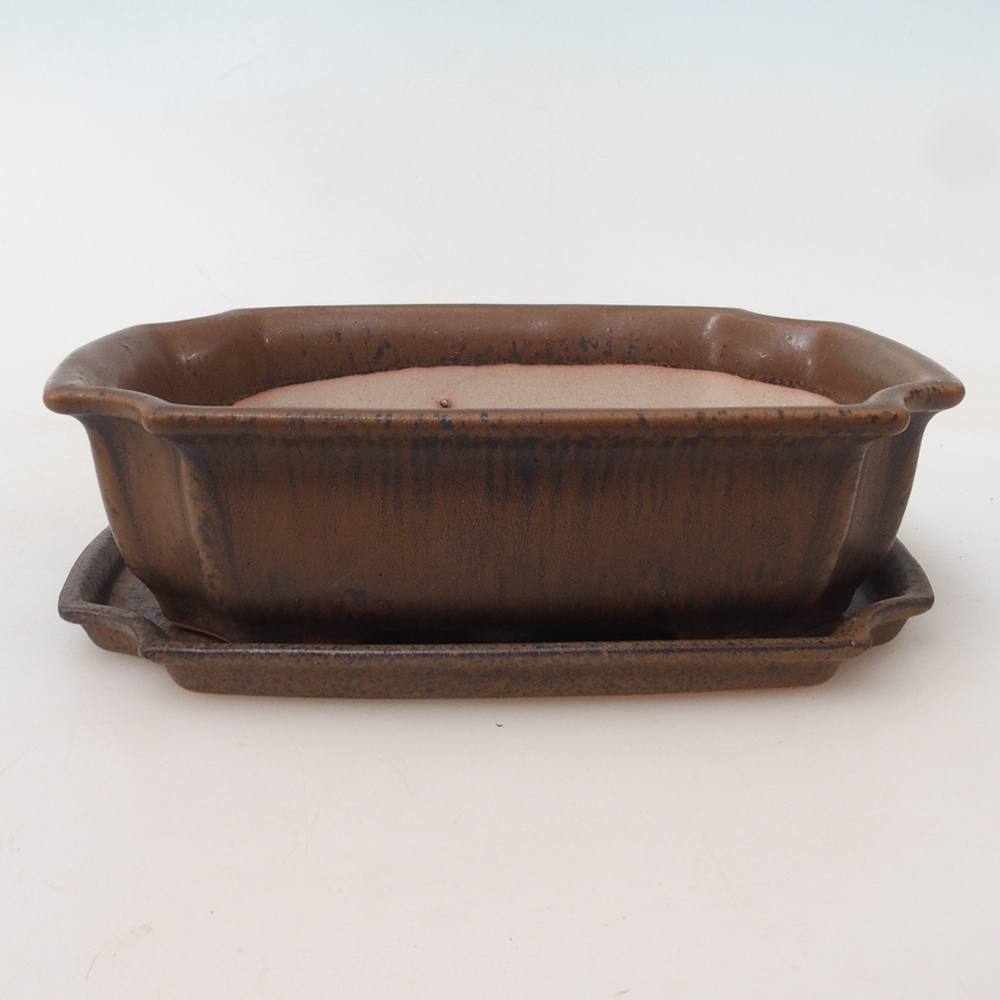 Bonsai tál + csészealj H03 - 16,5 x 12 x 4,5 cm. - barna