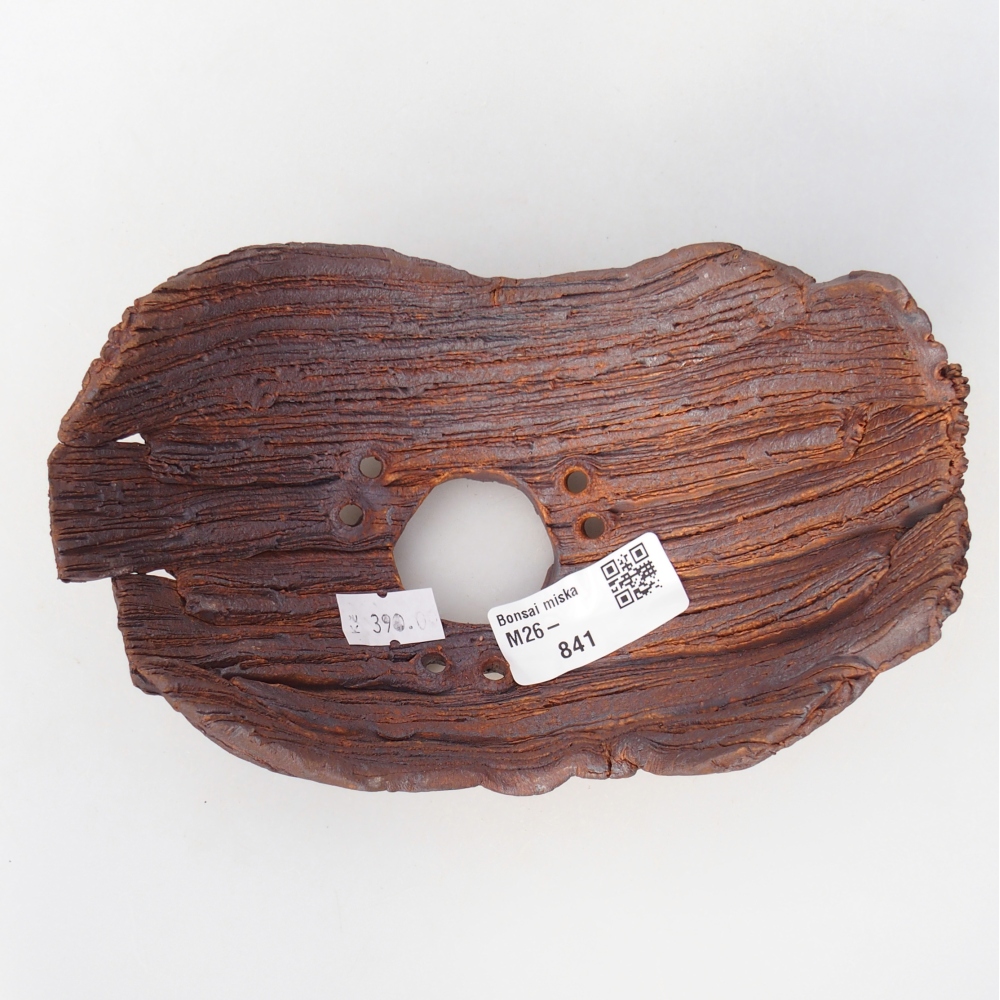 Kerámia kagyló 16 x 10,5 x 8,5 cm , színe barna