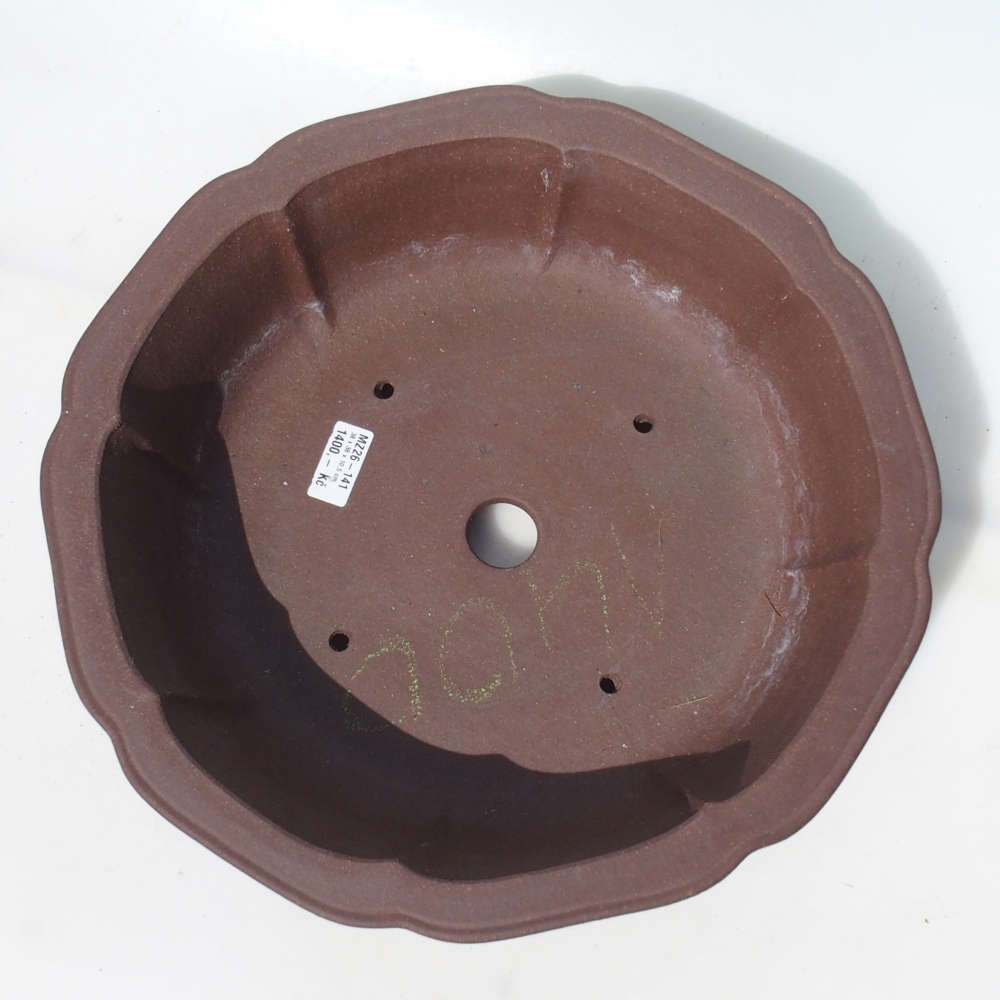 Bonsai tál 38 x 38 x 10,5 cm nyírfa barna