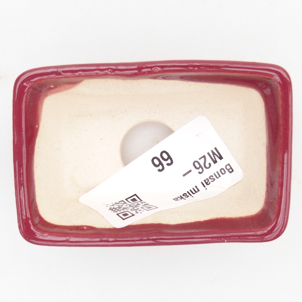 Mini bonsai tál 6,5 x 4 x 2,5 cm, bordó színű