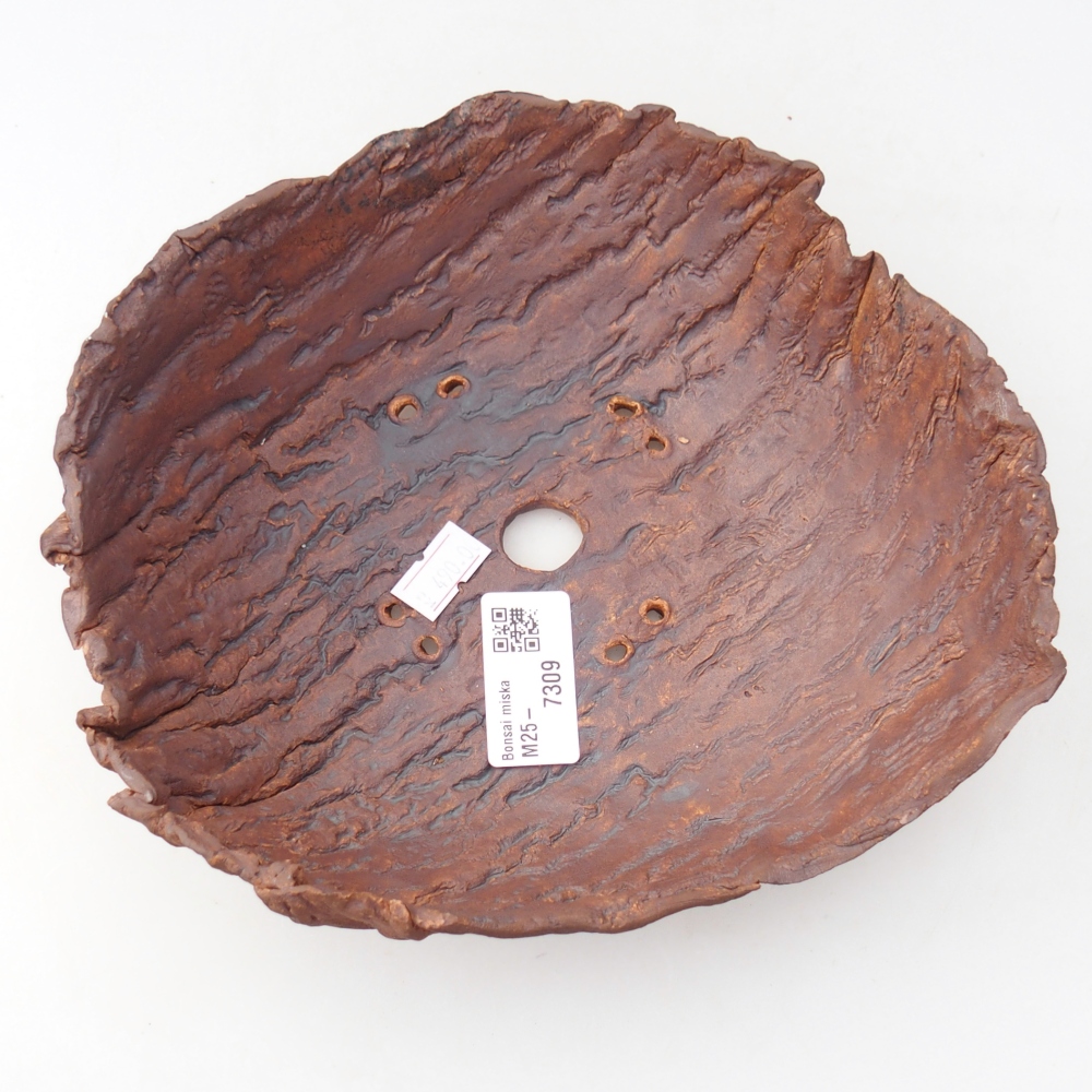 Kerámia kagyló 19 x 17 x 7 cm , színe barna