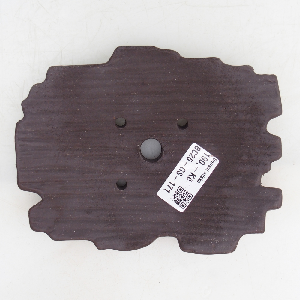 Kerámia kagyló 16 x 12 x 3 cm , színe barna