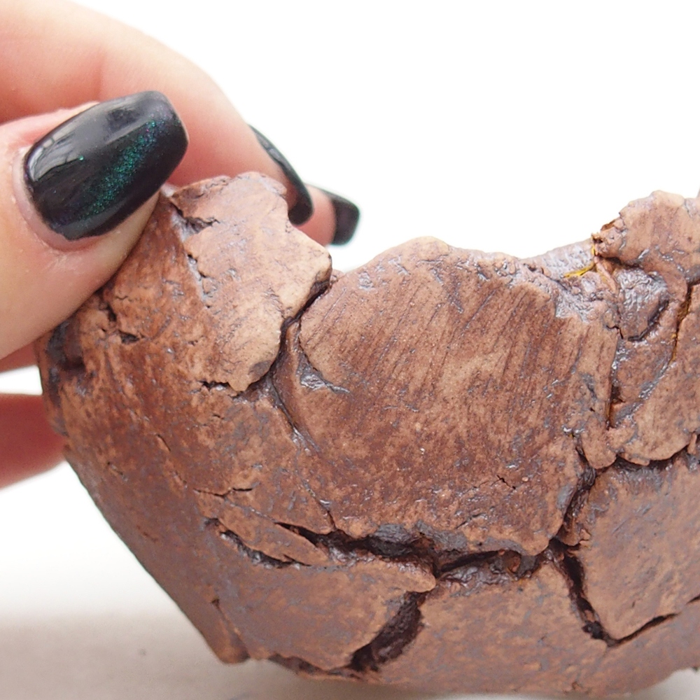 Kerámia kagyló 9 x 9 x 5,5 cm , színe barna