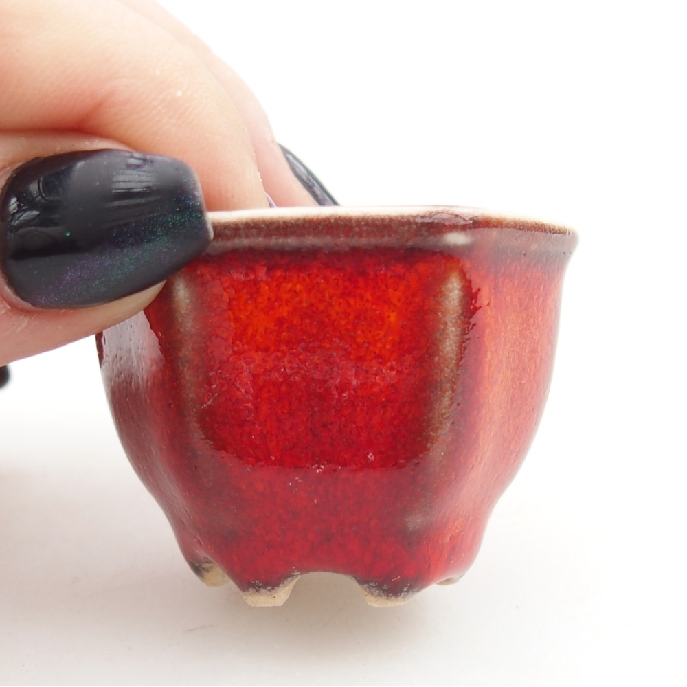 Mini bonsai tál 4 x 4 x 3 cm, piros színben