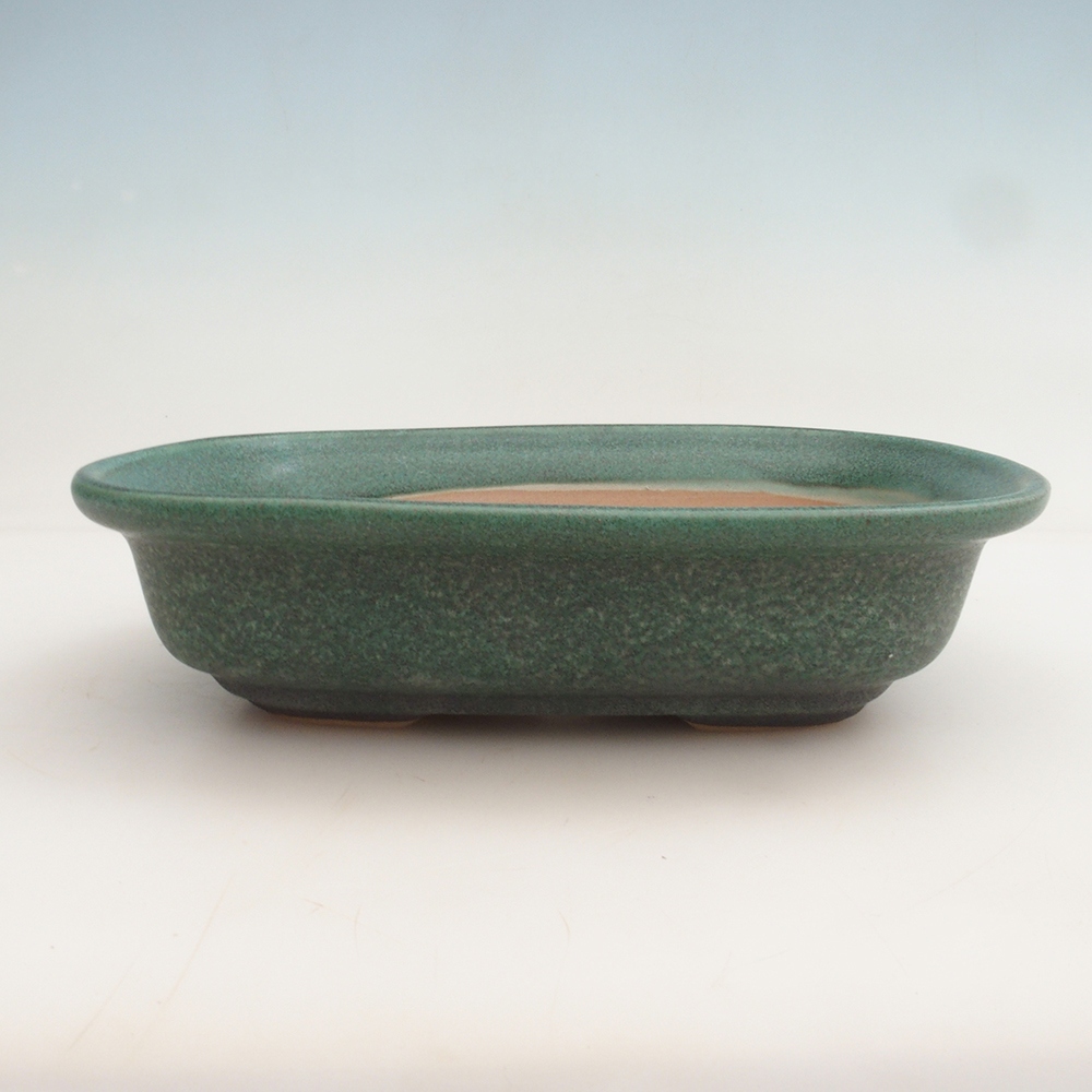 Bonsai tál H25 - 23 x 17 x 5,5 cm. - zöld