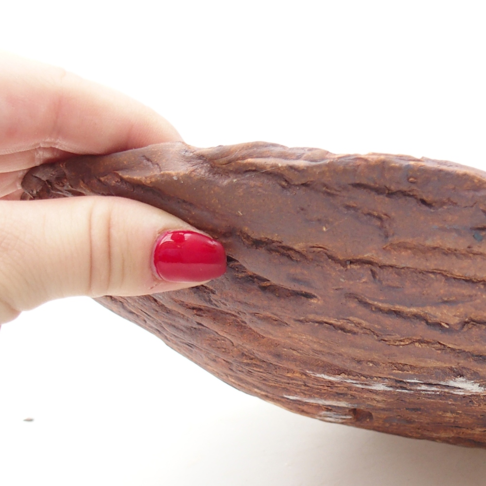 Kerámia kagyló 28 x 20 x 5 cm , barna színű