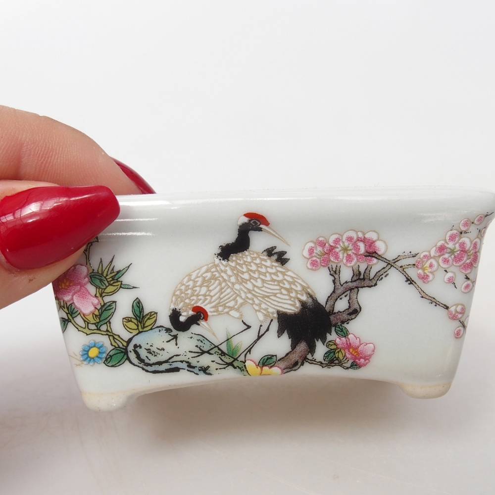 Mini bonsai tál 8 x 6,5 x 3,5 cm, fehér