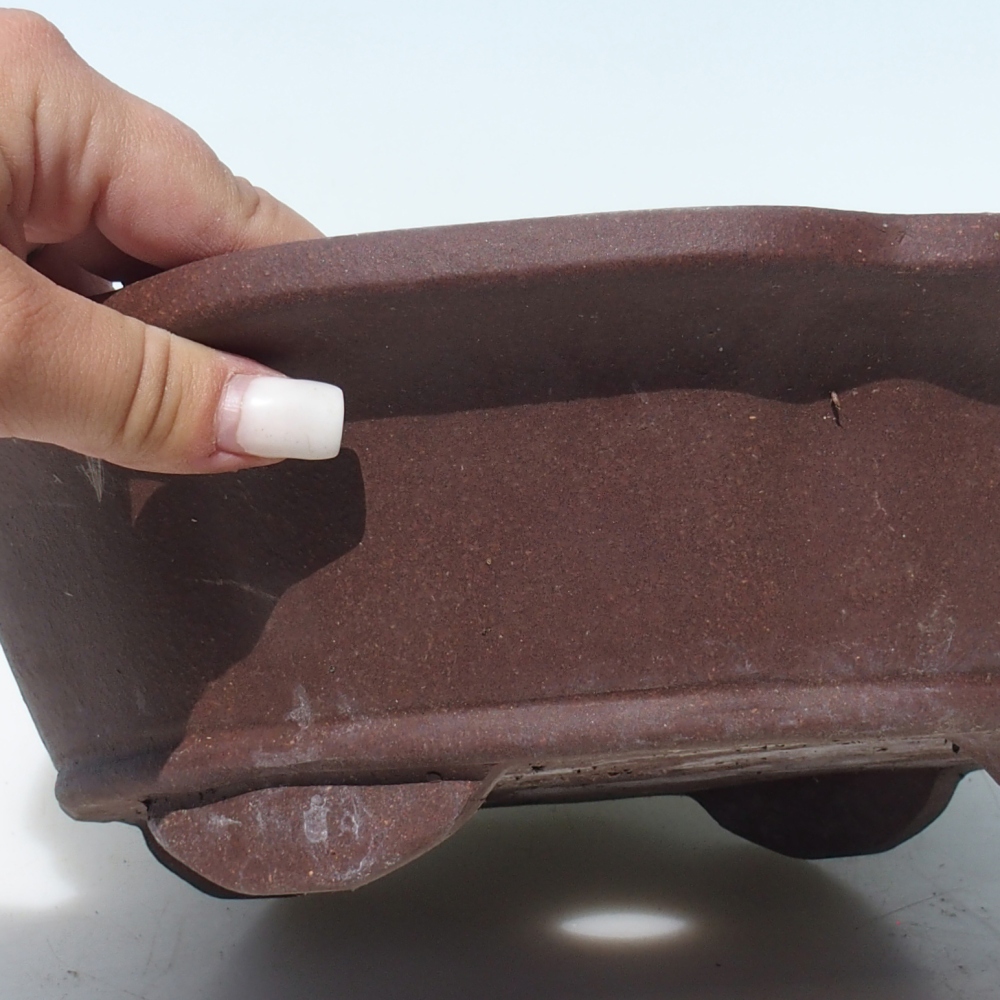 Bonsai tál 30 x 30 x 9 cm nyírfa barna