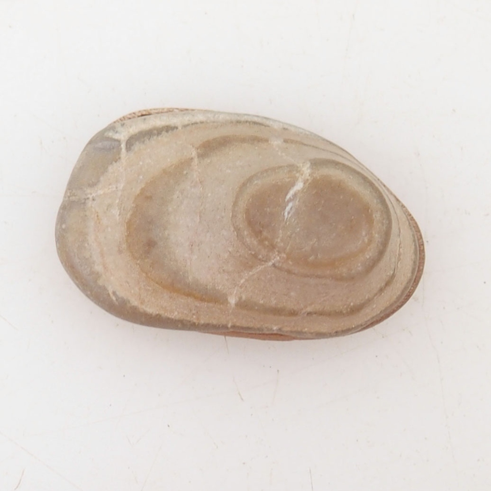 Suiseki - Kő DAI-val (fa alapon)