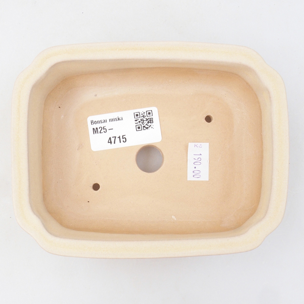 kerámia bonsai tál 14 x 11 x 4 cm, bézs színű