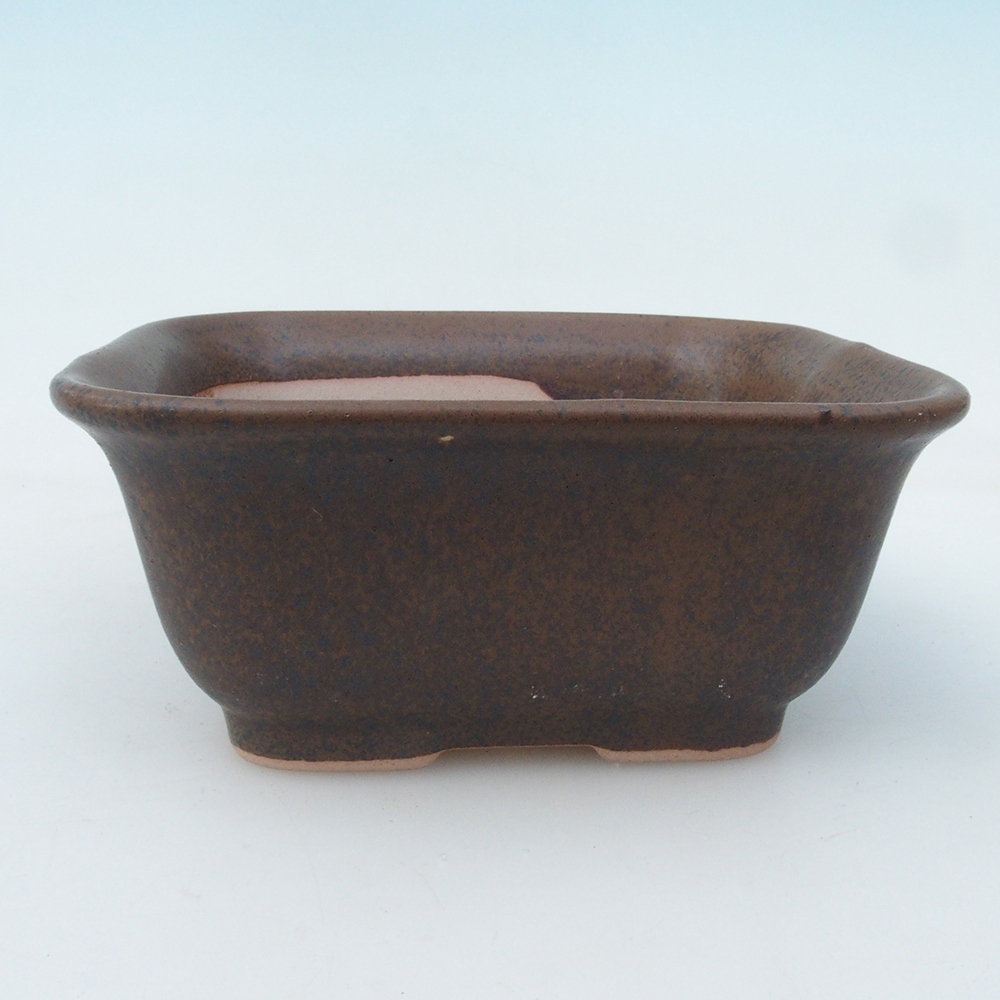 Bonsai tál + csészealj H38 - 12x10x5,5 cm. - barna