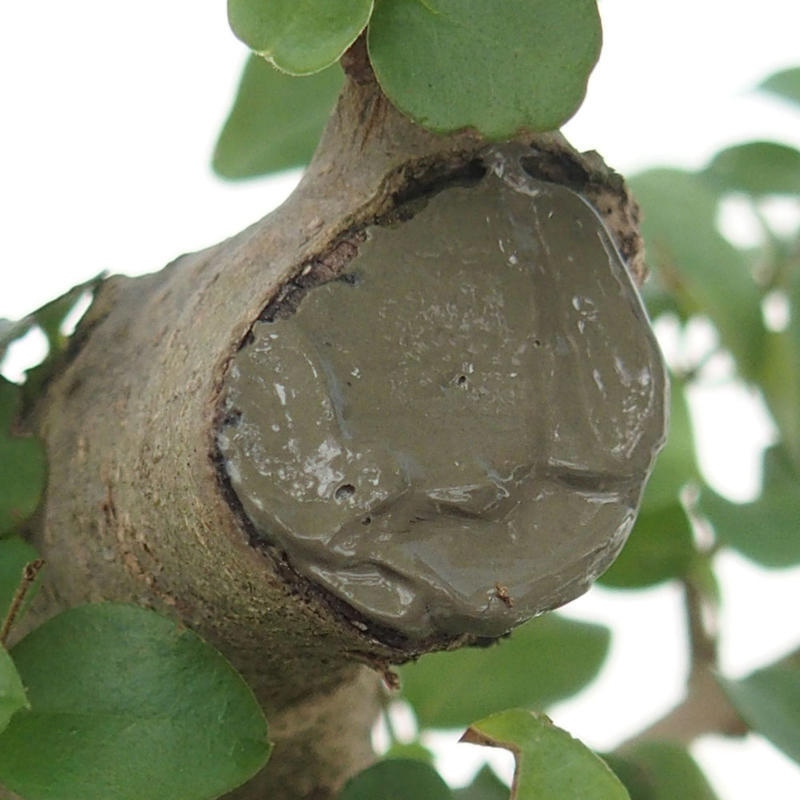 LAC Balzsam 1 kg + spatula