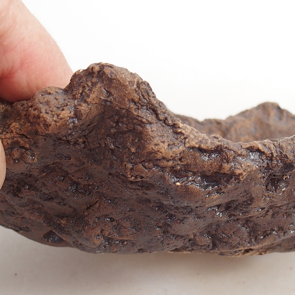 Kerámia kagyló 19 x 15 x 14 cm , barna színű