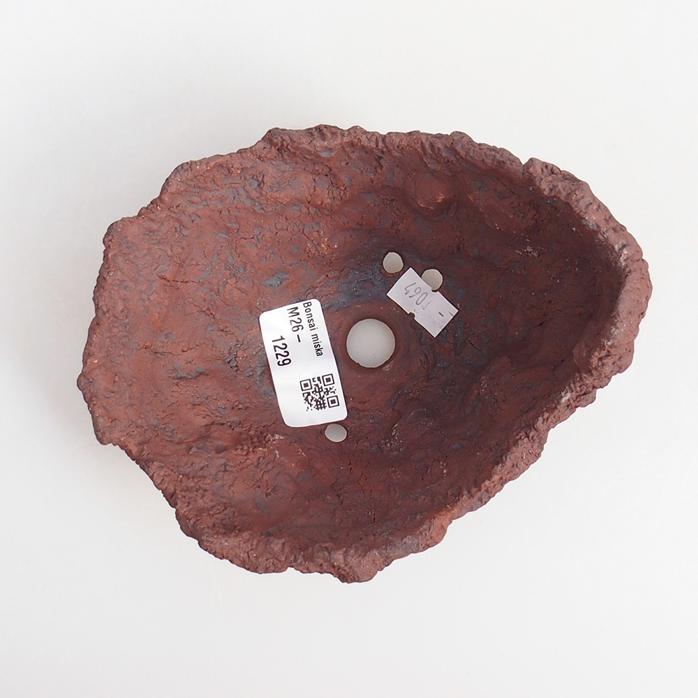 Kerámia kagyló 13 x 11,5 x 10,5 cm , színe barna