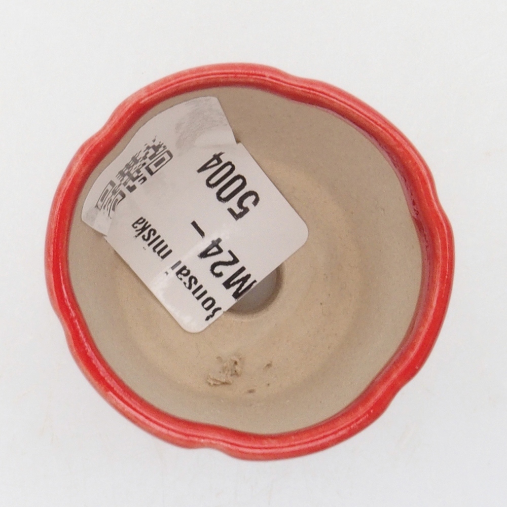 Mini bonsai tál 4 x 4 x 4 cm, piros színben